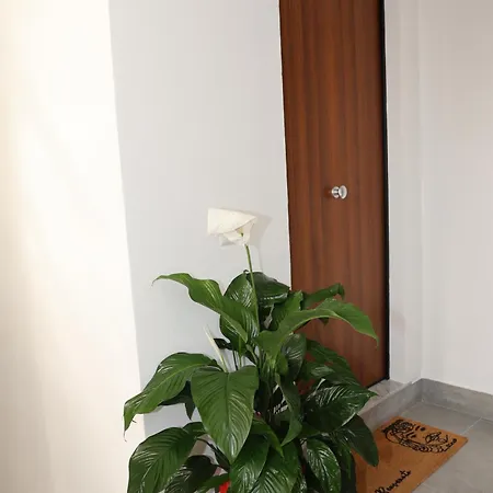 Bed and Breakfast Antico Vicolo *